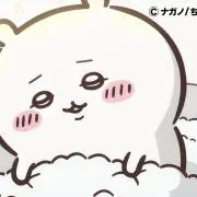 どどんこどすの画像