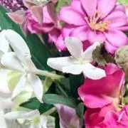 クロワッサンの画像