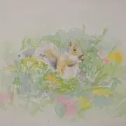ムクの画像