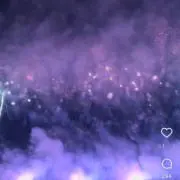 コロ助の画像
