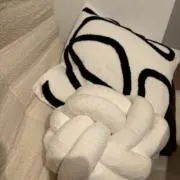 きのこの画像