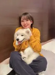 泉水の画像