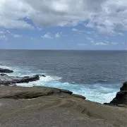 ハレの画像
