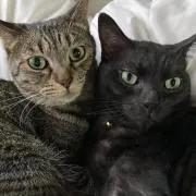 .yukkoの画像