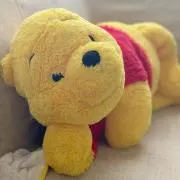 gingaの画像