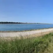 ダテメガネ