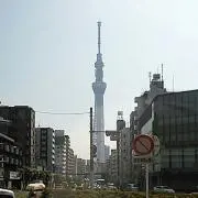 かず