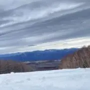 なおの画像