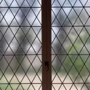 レベッカの画像