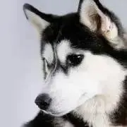 みいの画像