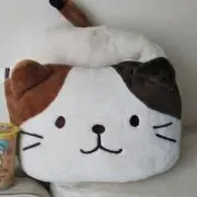 うつわ好ききょんの画像