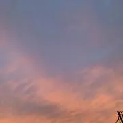 励の画像