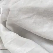 isaの画像