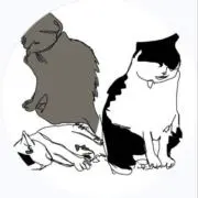 ねここの画像