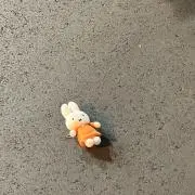 バチラの画像