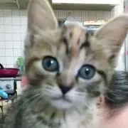 ポポ ❇️プロフお読み下さいな❇️