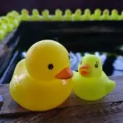 たぁの画像