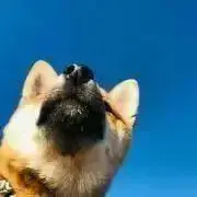 くま★ゑん　※プロフ確認下さいの画像