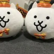 すわん
