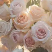 はな⌇断捨離中の画像