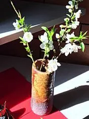ＮＫＭＲ３の画像