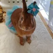ひでりおの画像