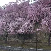 ☆R&S☆の画像