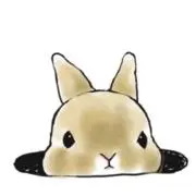 Rinaの画像