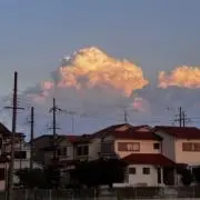 チュオン　ニャット　ヒエウの画像