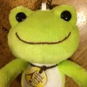 ☆ピクルス☆
