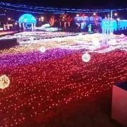 【WaTaRiDoRi 】の画像