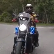 yoshi
