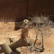 yuuuu