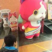 蒼楓
