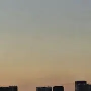 アイリス