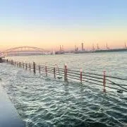 ロブです
