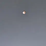 pop