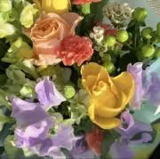きのこ