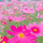 わいんの画像