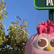 shunの画像