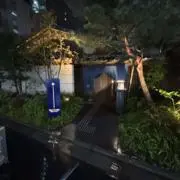 しゅしゆの画像
