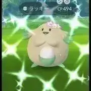 jumpの画像