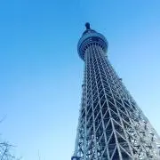 F子