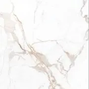 eriの画像