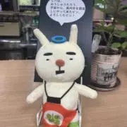 hikari