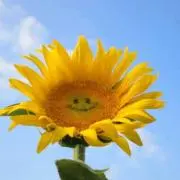 とわちん(^○^)