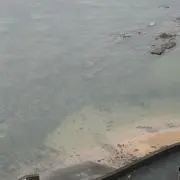 YSの画像
