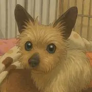 Etsuko 週末大セール‼️の画像