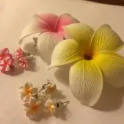 みぬ