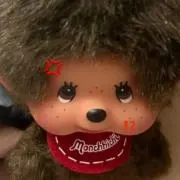 ぴの画像